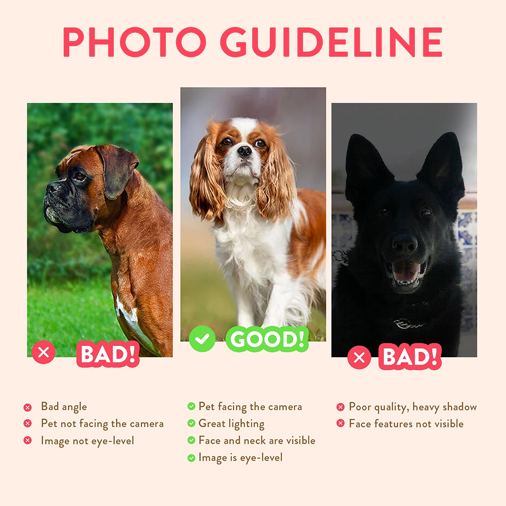 パーソナライズされたペットの肖像画写真名入りカスタム犬猫絵画 - Photograph Lyrics のレビューと価格